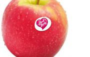 Manzana pink lady kg.