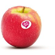 Manzana pink lady kg.