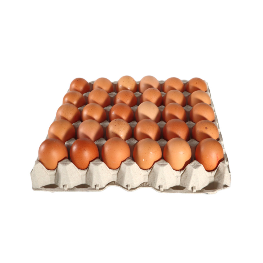 Huevo Color bandeja (30un)