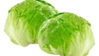 Lechuga Escarola pack(2un)