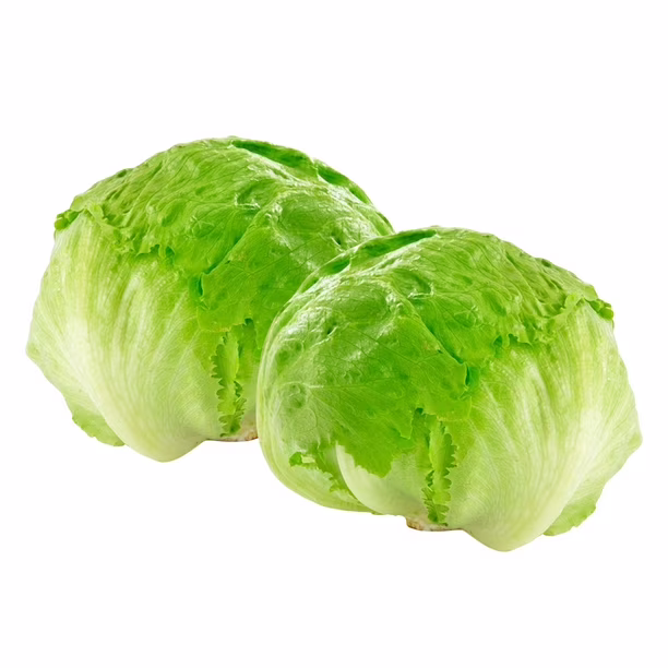 Lechuga Escarola pack(2un)